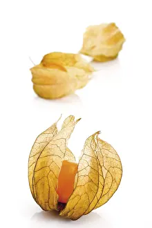 Cape Gooseberry Nutrition Imprime: Physalis