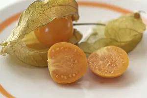 Physalis Fruit Imprime: Physalis