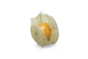 Weight Loss Diet Imprime: One physalis with shadow on white background