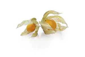 Fruit Photography Imprime: Two physalis with shadow on white background