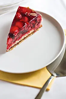 Baked Goods Grocery Store Imprime: A piece of raspberry pie