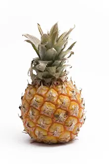 Exotic Fruit Images Imprime: Pineapple