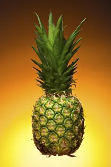 Pineapple Nutrition Imprime: Pineapple
