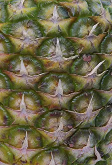 Full Frame Pineapple Photo Imprime: Pineapple, pineapple