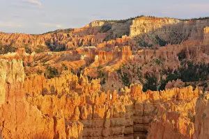 Evening Light Landscape Imprime: Pinnacles in the evening light