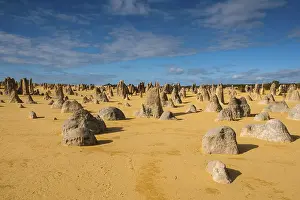 Western Australia Landscape Imprime: The Pinnacles limestone formations