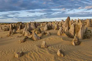Western Australian Desert Landscape Imprime: The Pinnacles limestone formations