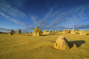 Australian Nature Reserves Imprime: The Pinnacles limestone formations
