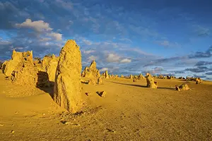 Bizarre Rock Needle Formations Imprime: The Pinnacles limestone formations