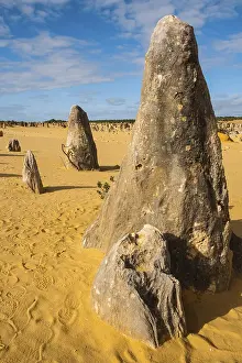Western Australian Desert Landscape Imprime: The Pinnacles limestone formations