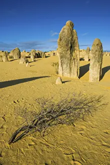 Desert Landscape Photography AUSTRALIA Imprime: The Pinnacles limestone formations
