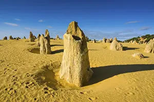 Western Australia Limestone Formations Imprime: The Pinnacles limestone formations