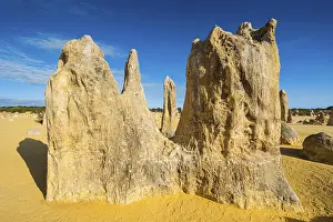 Western Australian Desert Landscape Imprime: The Pinnacles limestone formations