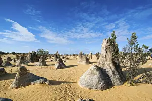 Western Australian Desert Landscape Imprime: The Pinnacles limestone formations