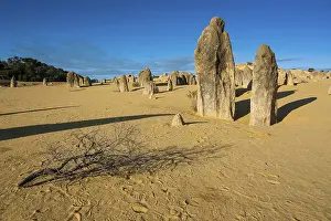 Western Australia Limestone Formations Imprime: The Pinnacles limestone formations