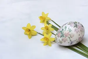 Easter Egg Imprime: Plastic easter egg and daffodil, Easter