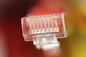 Coloured Network Cables Imprime: Plug of a coloured network cables for computer
