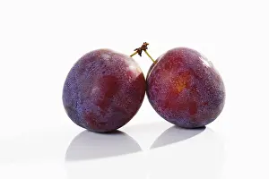 Fresh Plums Imprime: Plums