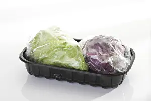 Green Leafy Vegetables Imprime: Pointed cabbage packaged for the microwave