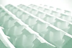Detailed Still Life Image Imprime: Polystyrene structure
