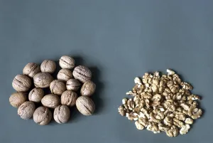Dried Fruit Nutrition Imprime: Walnuts with hard shell and Kernel