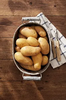 Detailed Botany Images Imprime: Potatoes