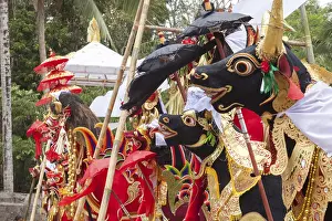 Bali Travel Photography Imprime: Preparing for a corpse cremation