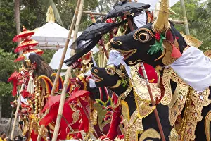 Bali Travel Photography Imprime: Preparing for a corpse cremation