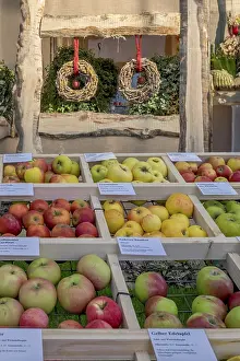 German Fruit Photography Imprime: Presentation of different apple varieties