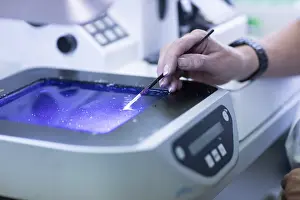 No People In Lab Imprime: Processing of samples in a histology laboratory