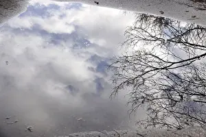 European Winter Scenes Imprime: Puddle with reflection, Winter, Germany