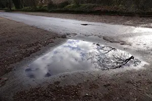 Central Europe Deserted Waterfront Imprime: Puddle with reflection, Winter, Germany