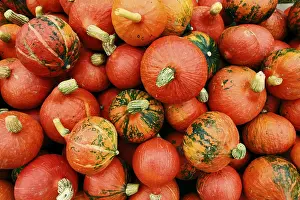 Pumpkin Nutrition Imprime: Pumpkins