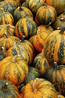 Vegetable Nutrition Facts Imprime: Pumpkins