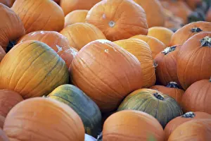 Pumpkin Patch Imprime: Pumpkins, pumpkin patch