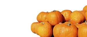 Autumnal Celebration Imprime: Pumpkins with space for text