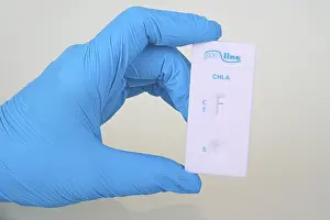 Chlamydia Test Imprime: Quick test Chlamydia from ProLine