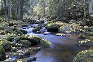 Autumn Leaves In Austria Imprime: A quiet stream flows through the forest