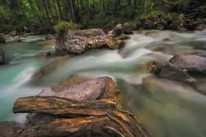 Mountain Torrent Photography Imprime: Ramsauer Ache in the Magic Forest