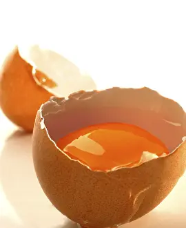 Studio Food Photography Ideas Imprime: Raw egg, broken open, shell