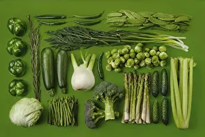 Vegetable Composition Imprime: Rectangular composition with various green vegetables on green background
