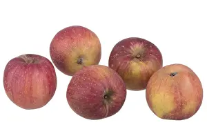 Full Length Apple Cutout Imprime: Red apple Red Eiserapfel