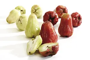 Exotic Fruit Photography Imprime: Red and green Java Apples