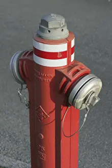 Fire Department Equipment Imprime: Red hydrant