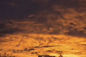 Evening Atmosphere Europe Imprime: Reddish clouds in the evening sky