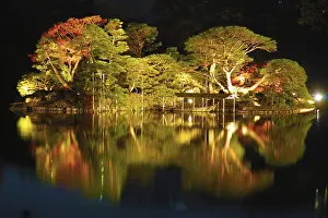 Japanese Capital Cityscape Imprime: Reflected on the surface of the water