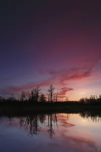 Peene Valley River Landscape Imprime: Reflection of trees in the water