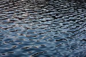 Water Surface Reflections Imprime: Reflection of the water surface