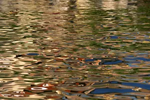 Reflective Water Surface Imprime: Reflection in the water surface