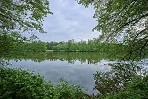 River Landscape Imprime: River landscape, reflection, tree